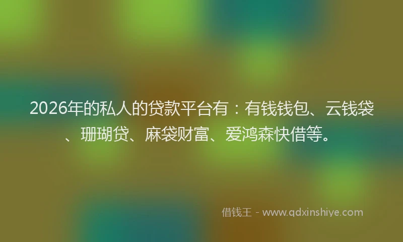 2026年的私人的贷款平台有：有钱钱包、云钱袋、珊瑚贷、麻袋财富、爱鸿森快借等。