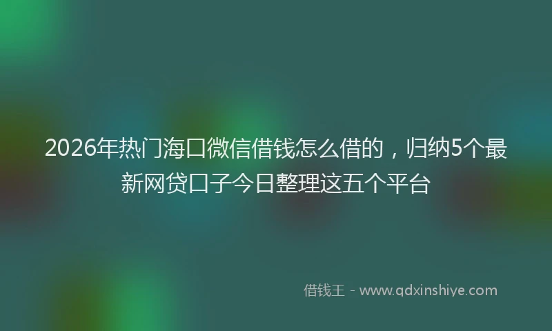 2026年热门海口微信借钱怎么借的，归纳5个最新网贷口子今日整理这五个平台