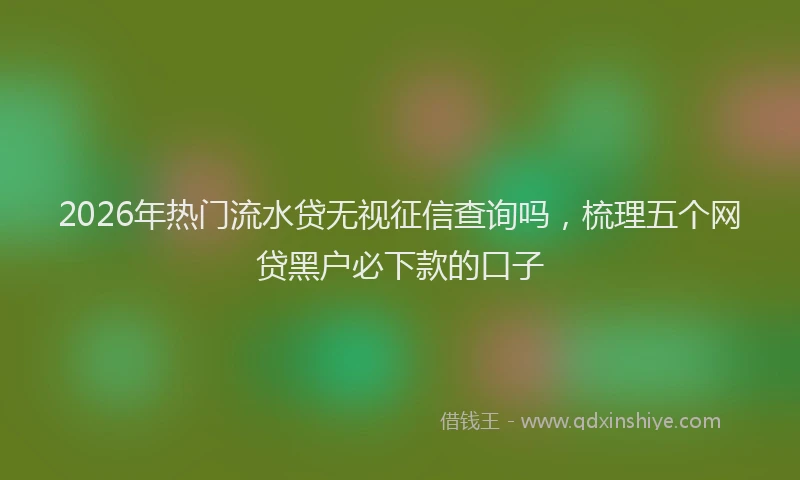2026年热门流水贷无视征信查询吗，梳理五个网贷黑户必下款的口子
