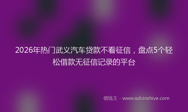 2026年热门武义汽车贷款不看征信，盘点5个轻松借款无征信记录的平台