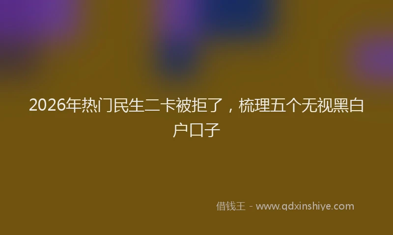 2026年热门民生二卡被拒了，梳理五个无视黑白户口子