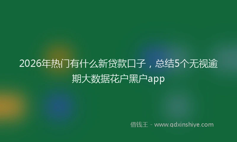 2026年热门有什么新贷款口子，总结5个无视逾期大数据花户黑户app