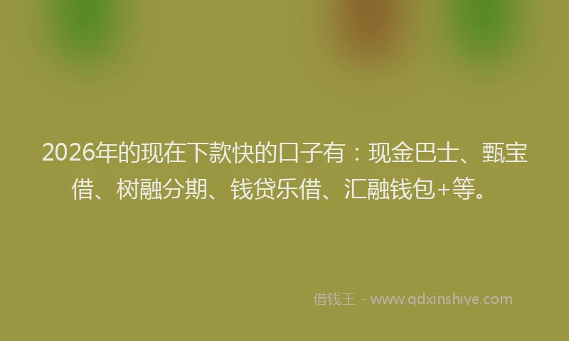 2026年的现在下款快的口子有：现金巴士、甄宝借、树融分期、钱贷乐借、汇融钱包+等。