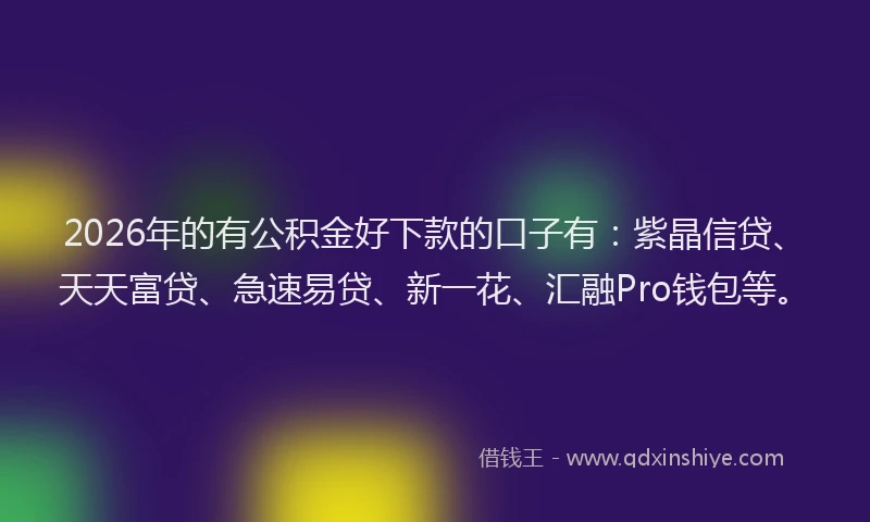 2026年的有公积金好下款的口子有：紫晶信贷、天天富贷、急速易贷、新一花、汇融Pro钱包等。