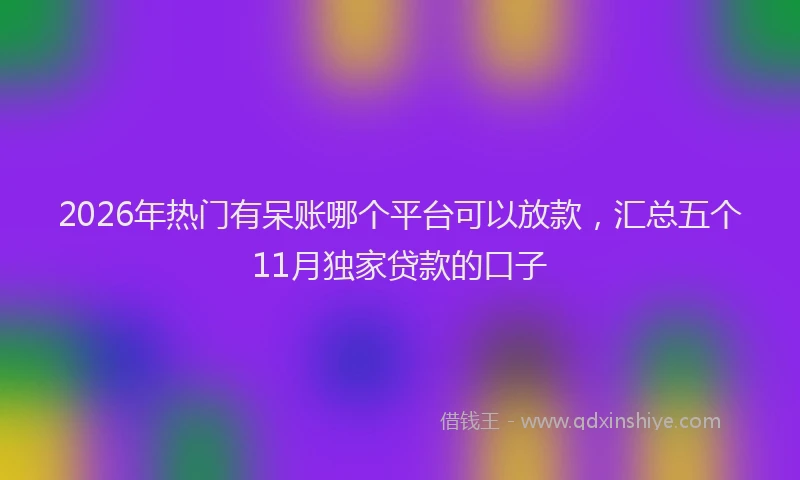 2026年热门有呆账哪个平台可以放款，汇总五个11月独家贷款的口子
