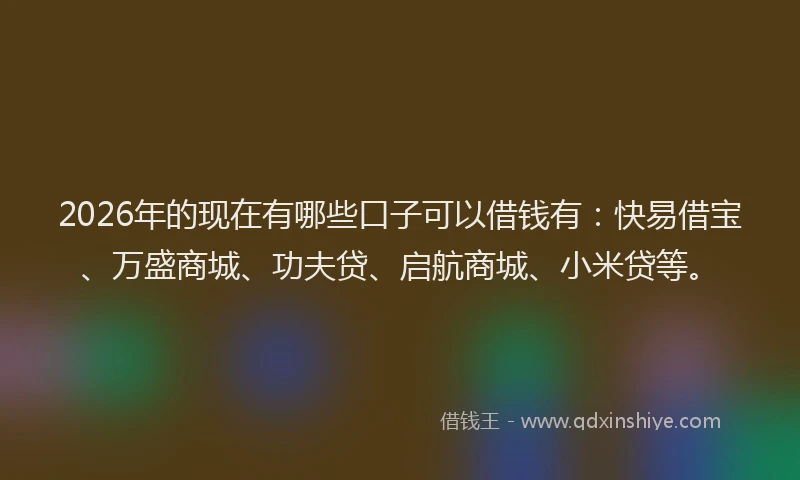 2026年的现在有哪些口子可以借钱有：快易借宝、万盛商城、功夫贷、启航商城、小米贷等。
