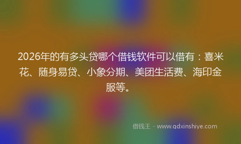 2026年的有多头贷哪个借钱软件可以借有：喜米花、随身易贷、小象分期、美团生活费、海印金服等。