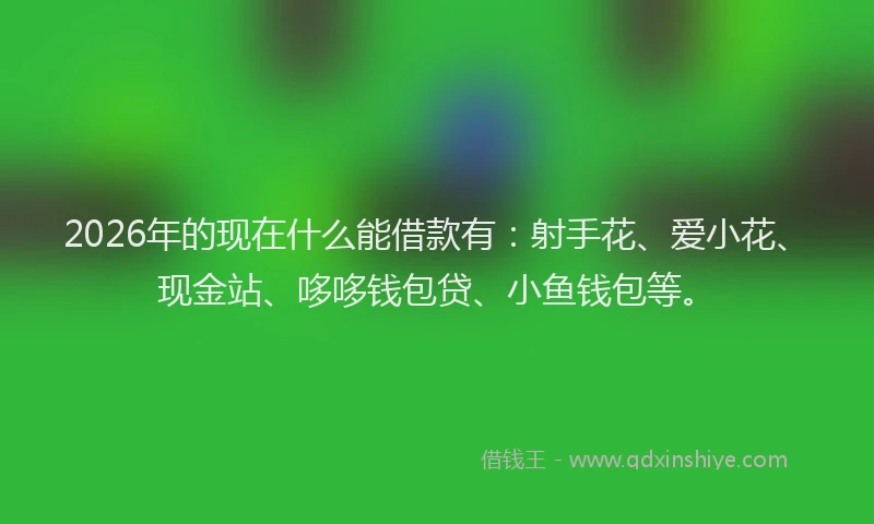 2026年的现在什么能借款有：射手花、爱小花、现金站、哆哆钱包贷、小鱼钱包等。