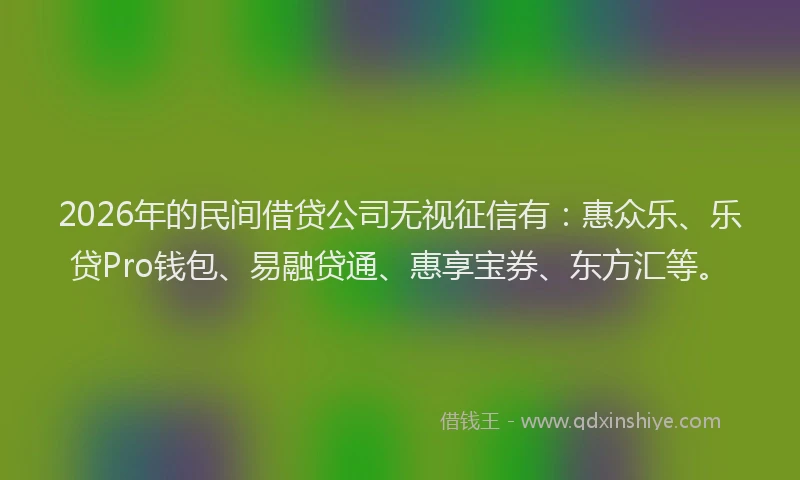 2026年的民间借贷公司无视征信有：惠众乐、乐贷Pro钱包、易融贷通、惠享宝券、东方汇等。