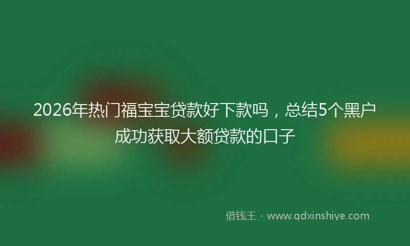 2026年热门福宝宝贷款好下款吗，总结5个黑户成功获取大额贷款的口子