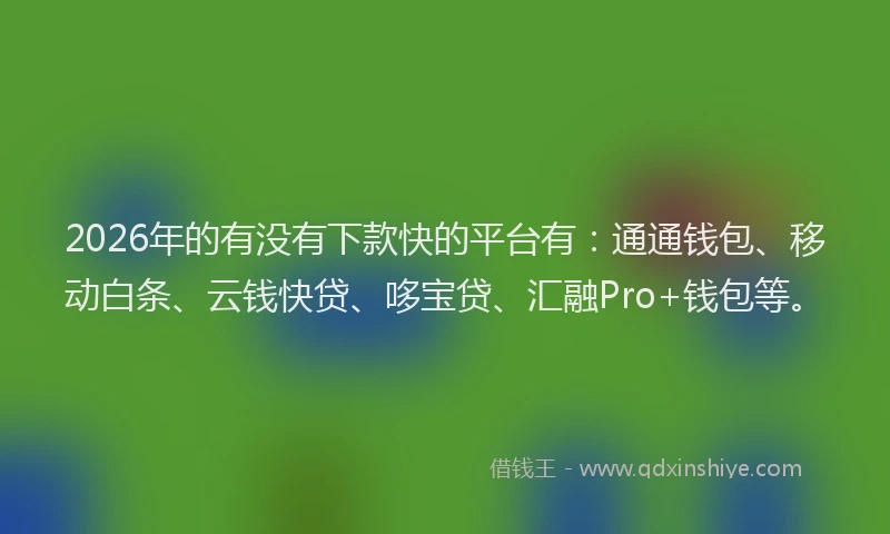 2026年的有没有下款快的平台有：通通钱包、移动白条、云钱快贷、哆宝贷、汇融Pro+钱包等。
