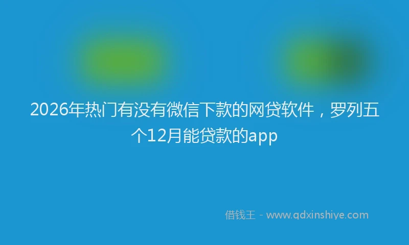 2026年热门有没有微信下款的网贷软件，罗列五个12月能贷款的app