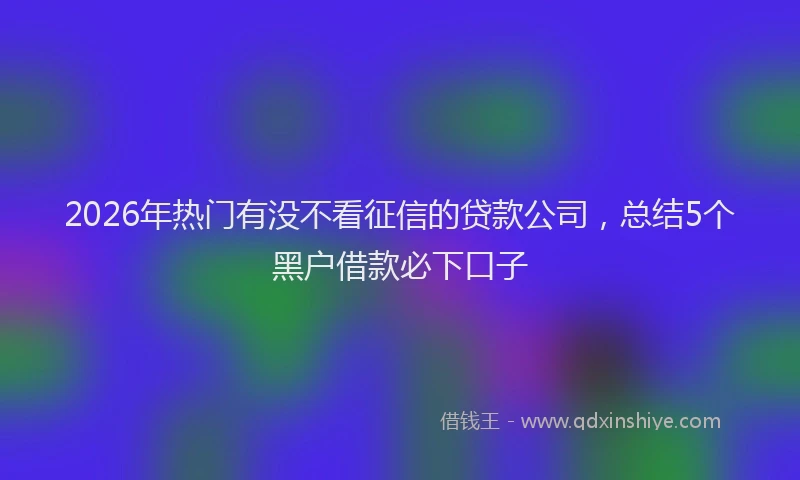 2026年热门有没不看征信的贷款公司，总结5个黑户借款必下口子