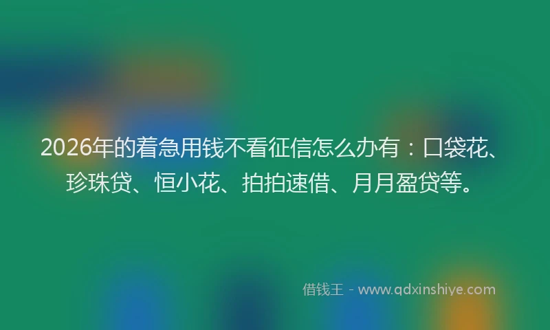 2026年的着急用钱不看征信怎么办有：口袋花、珍珠贷、恒小花、拍拍速借、月月盈贷等。