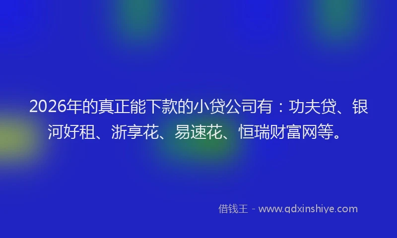 2026年的真正能下款的小贷公司有：功夫贷、银河好租、浙享花、易速花、恒瑞财富网等。