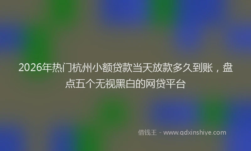 2026年热门杭州小额贷款当天放款多久到账，盘点五个无视黑白的网贷平台