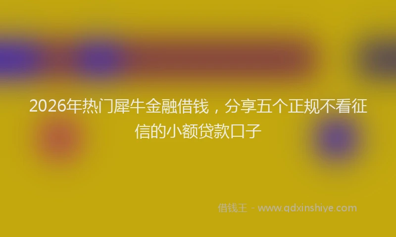 2026年热门犀牛金融借钱，分享五个正规不看征信的小额贷款口子