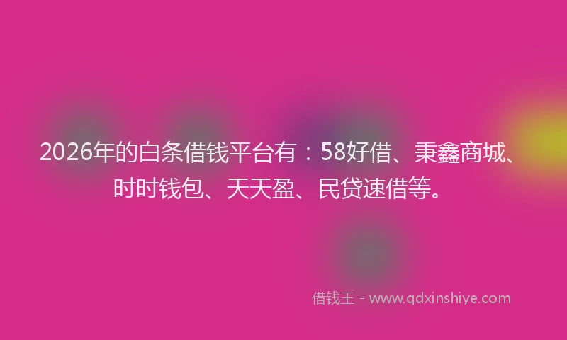 2026年的白条借钱平台有：58好借、秉鑫商城、时时钱包、天天盈、民贷速借等。