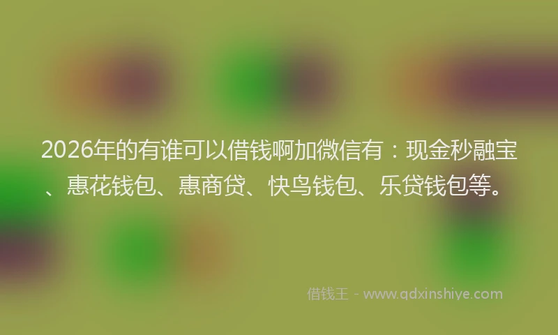 2026年的有谁可以借钱啊加微信有：现金秒融宝、惠花钱包、惠商贷、快鸟钱包、乐贷钱包等。