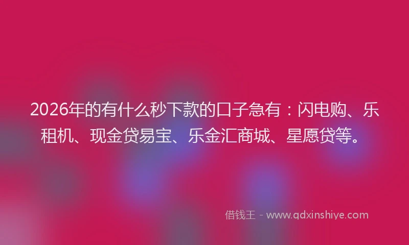 2026年的有什么秒下款的口子急有：闪电购、乐租机、现金贷易宝、乐金汇商城、星愿贷等。