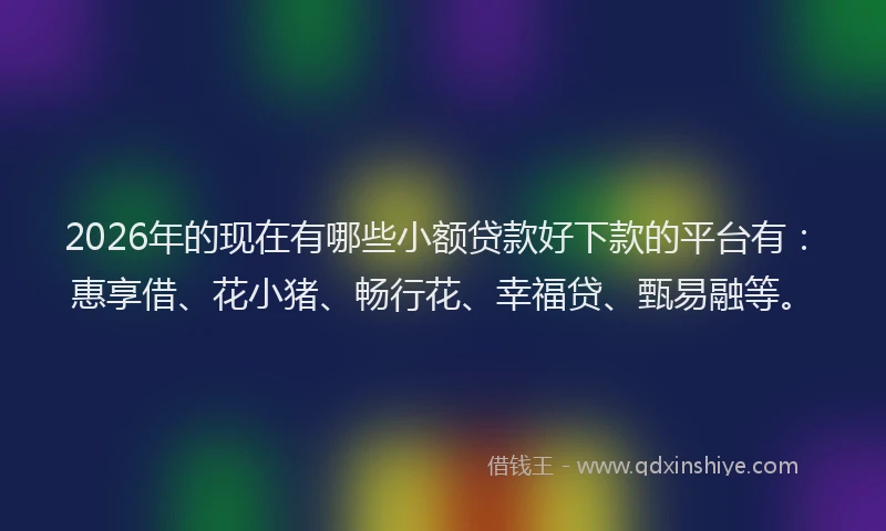 2026年的现在有哪些小额贷款好下款的平台有:惠享借、花小猪、畅行花、幸福贷、甄易融等。