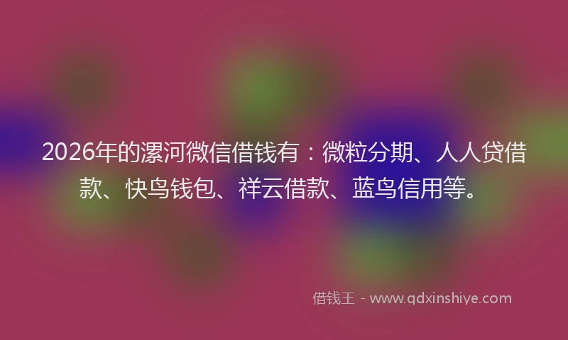 2026年的漯河微信借钱有：微粒分期、人人贷借款、快鸟钱包、祥云借款、蓝鸟信用等。