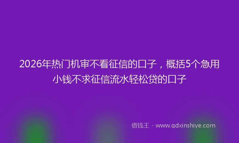 2026年热门机审不看征信的口子，概括5个急用小钱不求征信流水轻松贷的口子