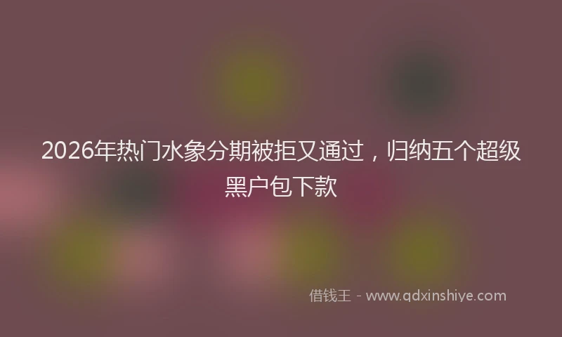 2026年热门水象分期被拒又通过，归纳五个超级黑户包下款