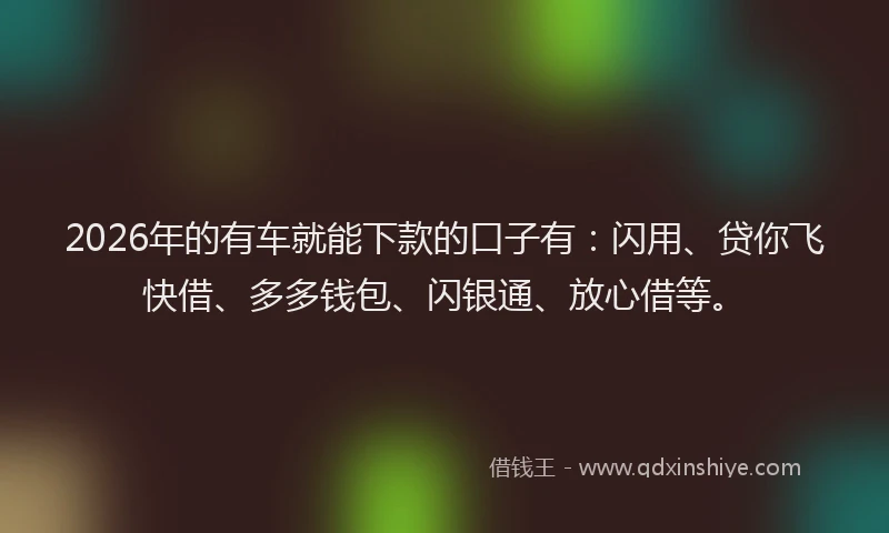 2026年的有车就能下款的口子有：闪用、贷你飞快借、多多钱包、闪银通、放心借等。