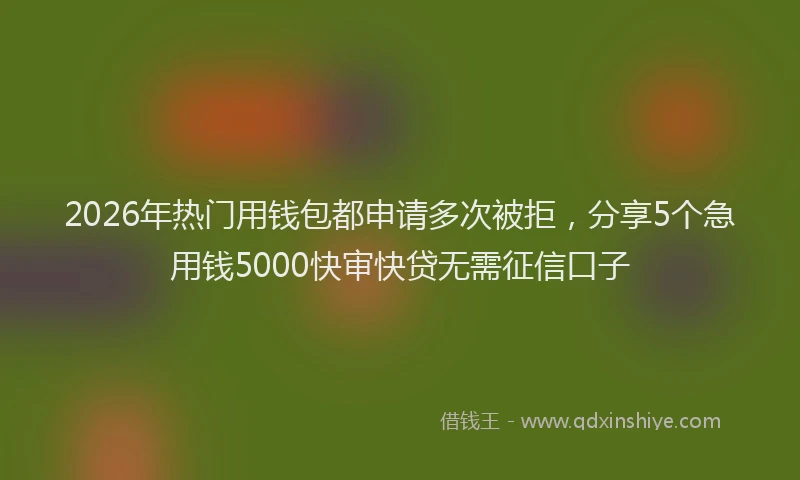 2026年热门用钱包都申请多次被拒，分享5个急用钱5000快审快贷无需征信口子