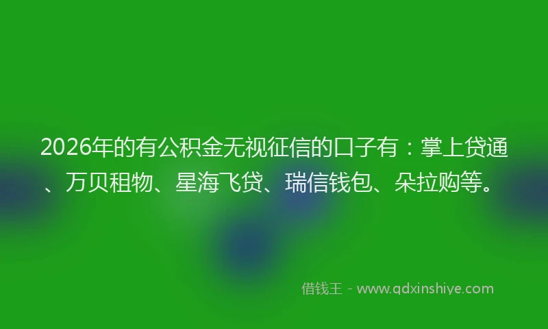 2026年的有公积金无视征信的口子有：掌上贷通、万贝租物、星海飞贷、瑞信钱包、朵拉购等。