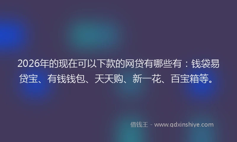 2026年的现在可以下款的网贷有哪些有：钱袋易贷宝、有钱钱包、天天购、新一花、百宝箱等。