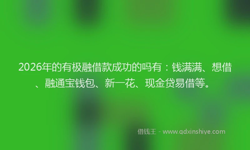 2026年的有极融借款成功的吗有：钱满满、想借、融通宝钱包、新一花、现金贷易借等。