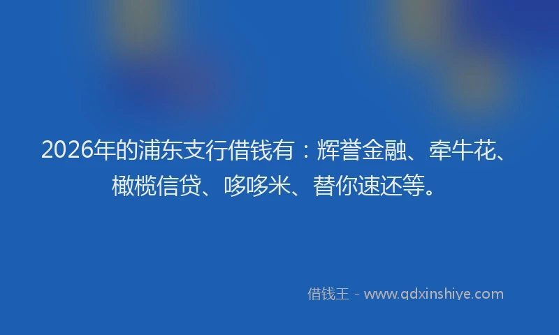 2026年的浦东支行借钱有：辉誉金融、牵牛花、橄榄信贷、哆哆米、替你速还等。