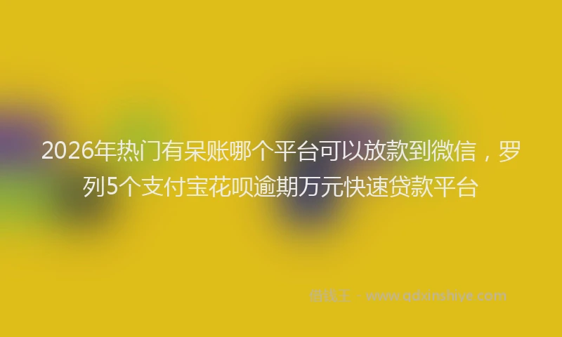 2026年热门有呆账哪个平台可以放款到微信，罗列5个支付宝花呗逾期万元快速贷款平台