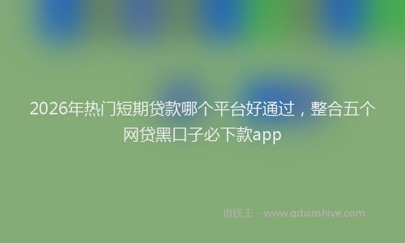 2026年热门短期贷款哪个平台好通过，整合五个网贷黑口子必下款app