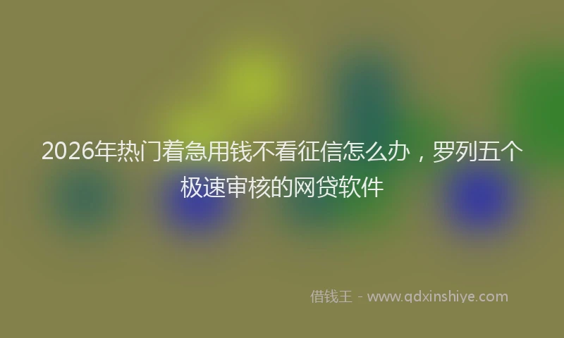 2026年热门着急用钱不看征信怎么办，罗列五个极速审核的网贷软件