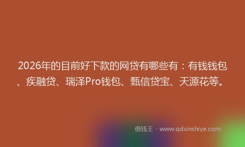 2026年的目前好下款的网贷有哪些有：有钱钱包、疾融贷、瑞泽Pro钱包、甄信贷宝、天源花等。