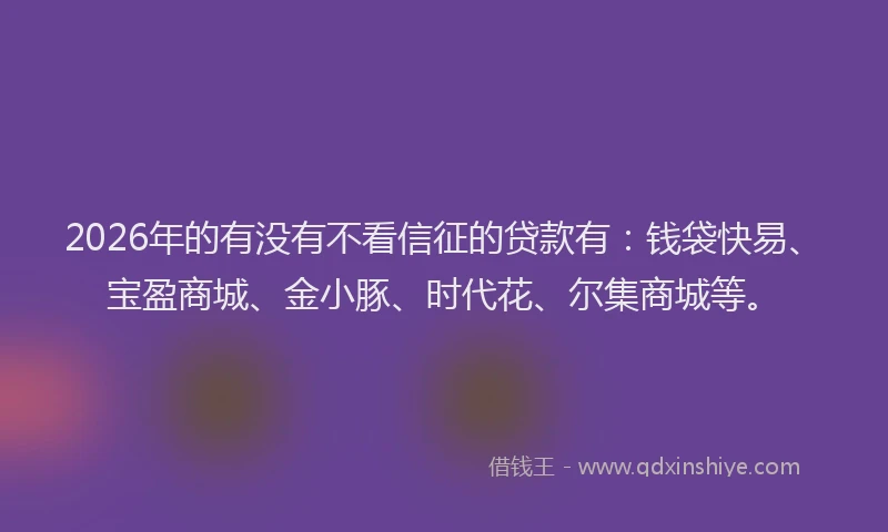 2026年的有没有不看信征的贷款有：钱袋快易、宝盈商城、金小豚、时代花、尔集商城等。