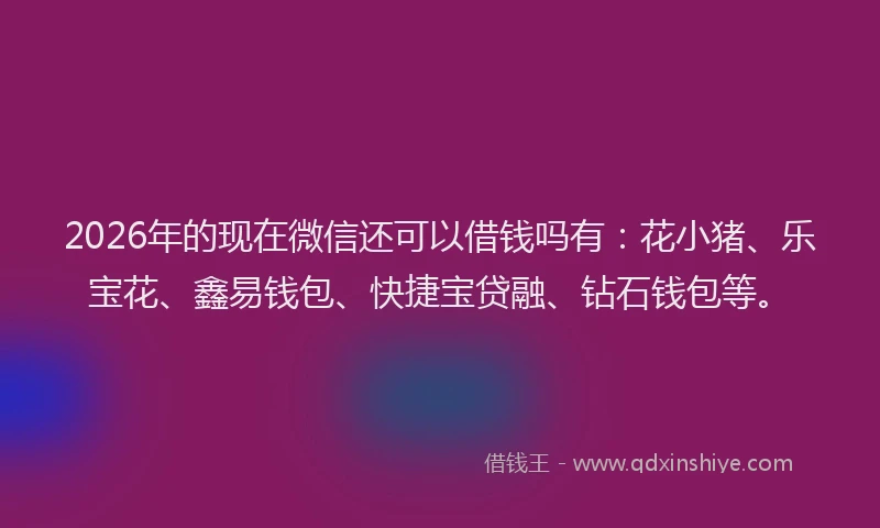 2026年的现在微信还可以借钱吗有：花小猪、乐宝花、鑫易钱包、快捷宝贷融、钻石钱包等。