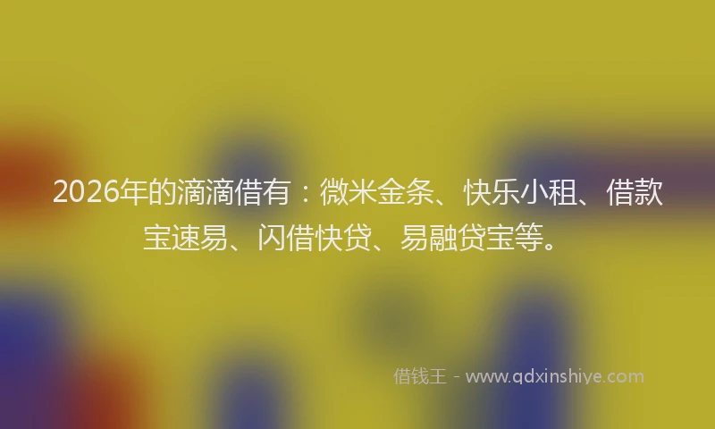 2026年的滴滴借有：微米金条、快乐小租、借款宝速易、闪借快贷、易融贷宝等。