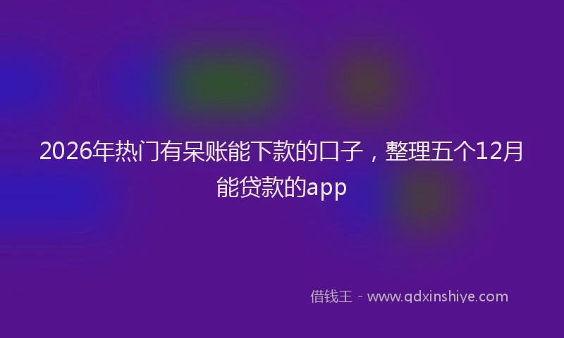 2026年热门有呆账能下款的口子，整理五个12月能贷款的app