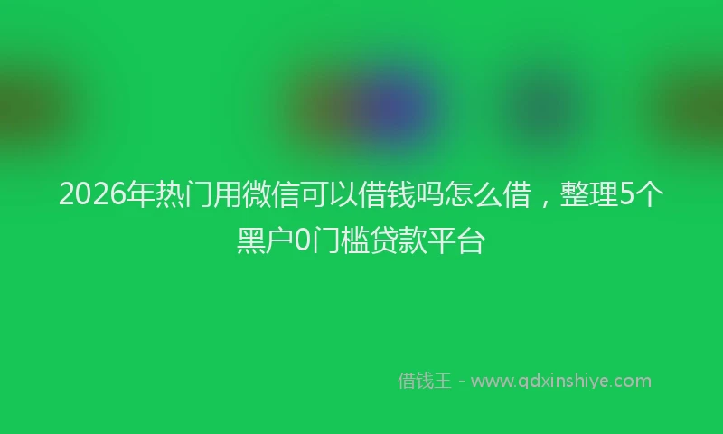 2026年热门用微信可以借钱吗怎么借，整理5个黑户0门槛贷款平台