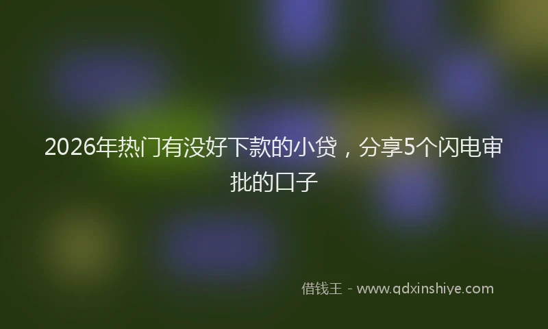 2026年热门有没好下款的小贷，分享5个闪电审批的口子