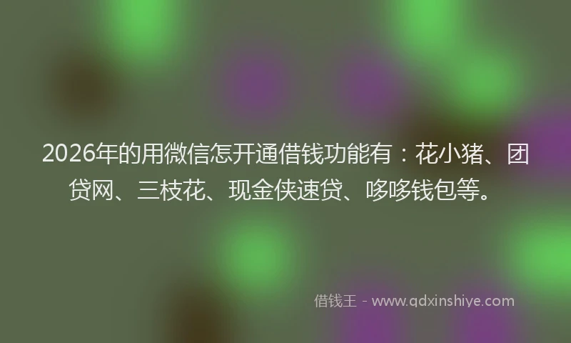 2026年的用微信怎开通借钱功能有:花小猪、团贷网、三枝花、现金侠速贷、哆哆钱包等。