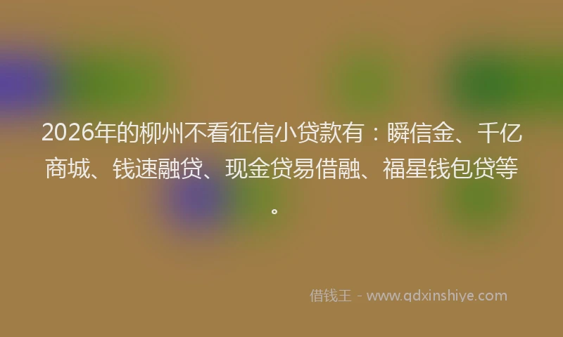 2026年的柳州不看征信小贷款有：瞬信金、千亿商城、钱速融贷、现金贷易借融、福星钱包贷等。