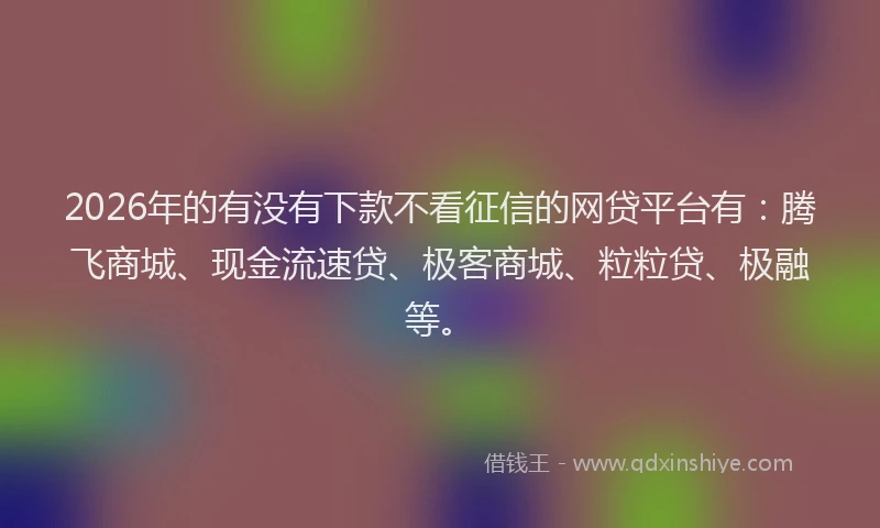 2026年的有没有下款不看征信的网贷平台有：腾飞商城、现金流速贷、极客商城、粒粒贷、极融等。