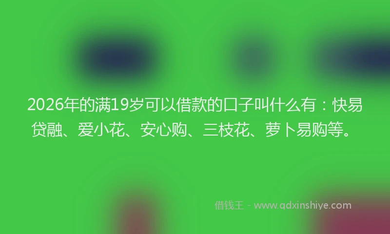 2026年的满19岁可以借款的口子叫什么有：快易贷融、爱小花、安心购、三枝花、萝卜易购等。