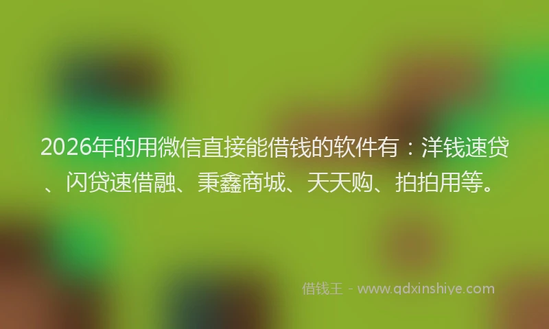 2026年的用微信直接能借钱的软件有:洋钱速贷、闪贷速借融、秉鑫商城、天天购、拍拍用等。