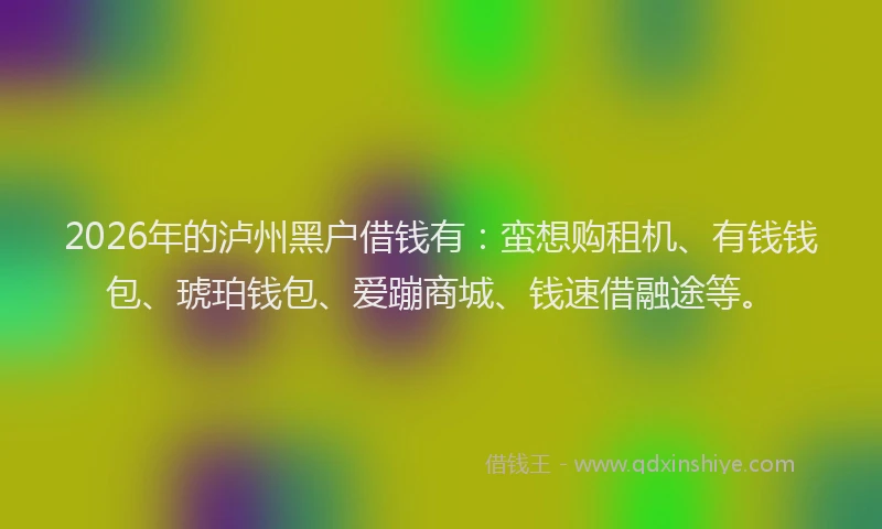 2026年的泸州黑户借钱有：蛮想购租机、有钱钱包、琥珀钱包、爱蹦商城、钱速借融途等。